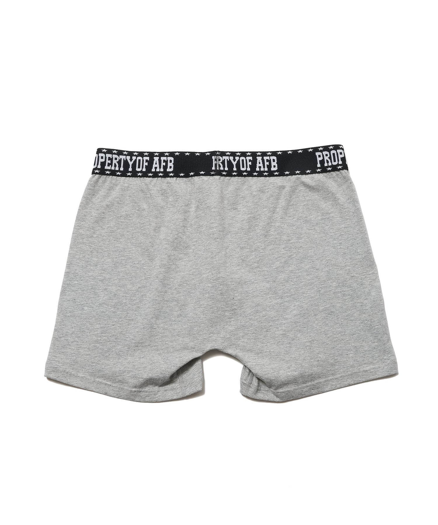 2P AFB BOXER BRIEFS AFB