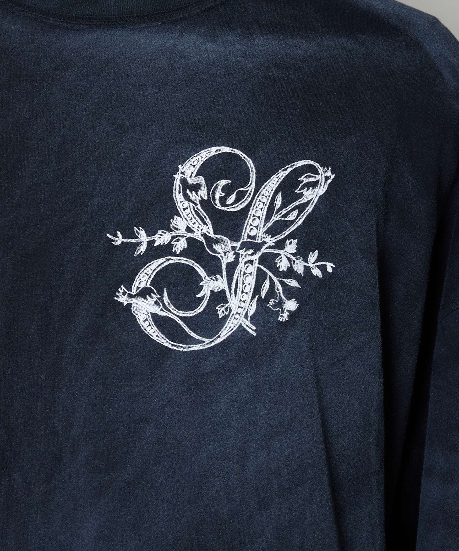 PICTURESQUE S SHINYAKOZUKA