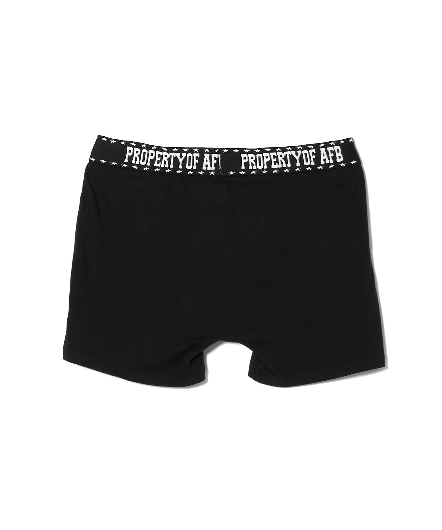 2P AFB BOXER BRIEFS AFB