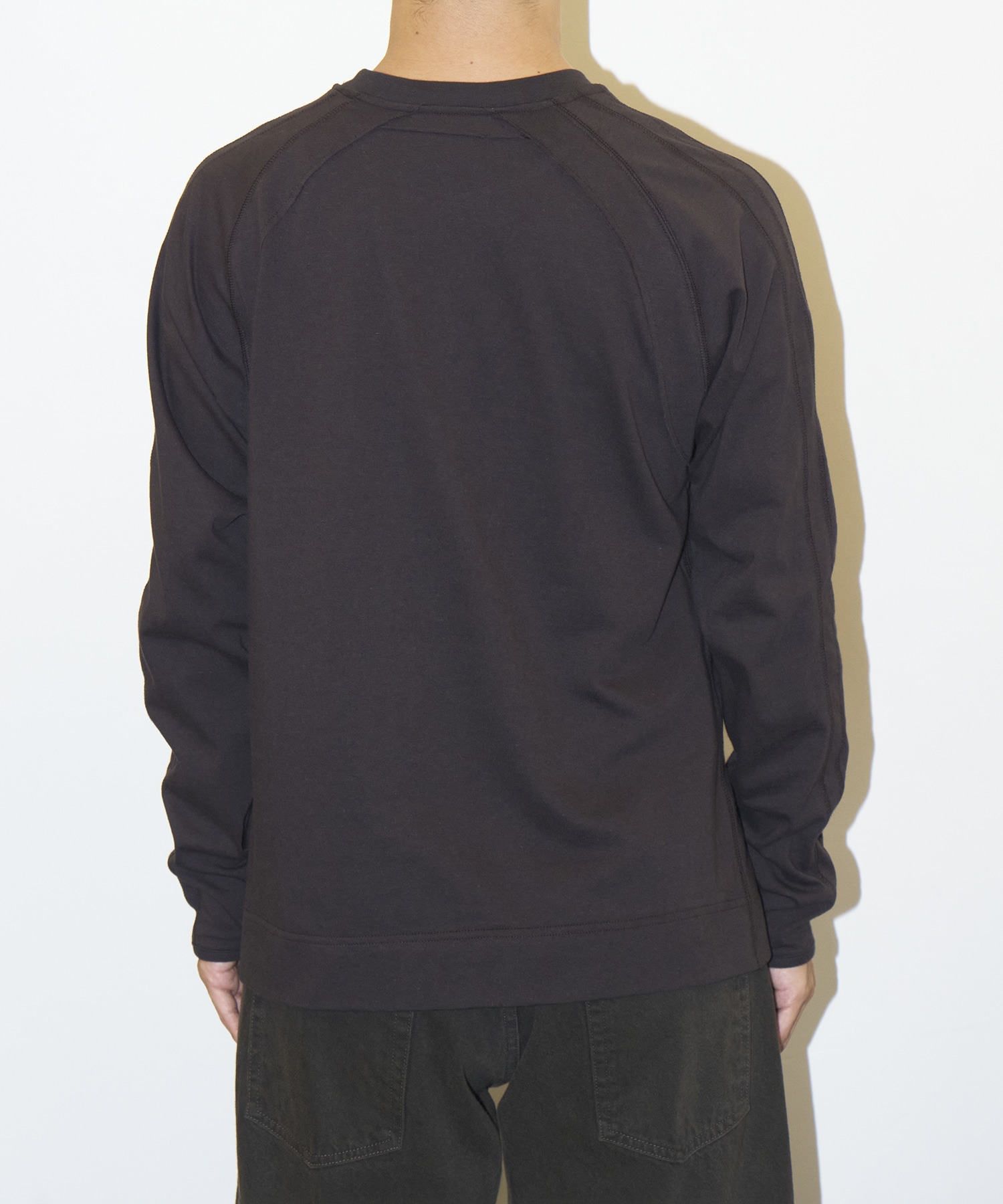 十二支 LS TEE JIAN YE
