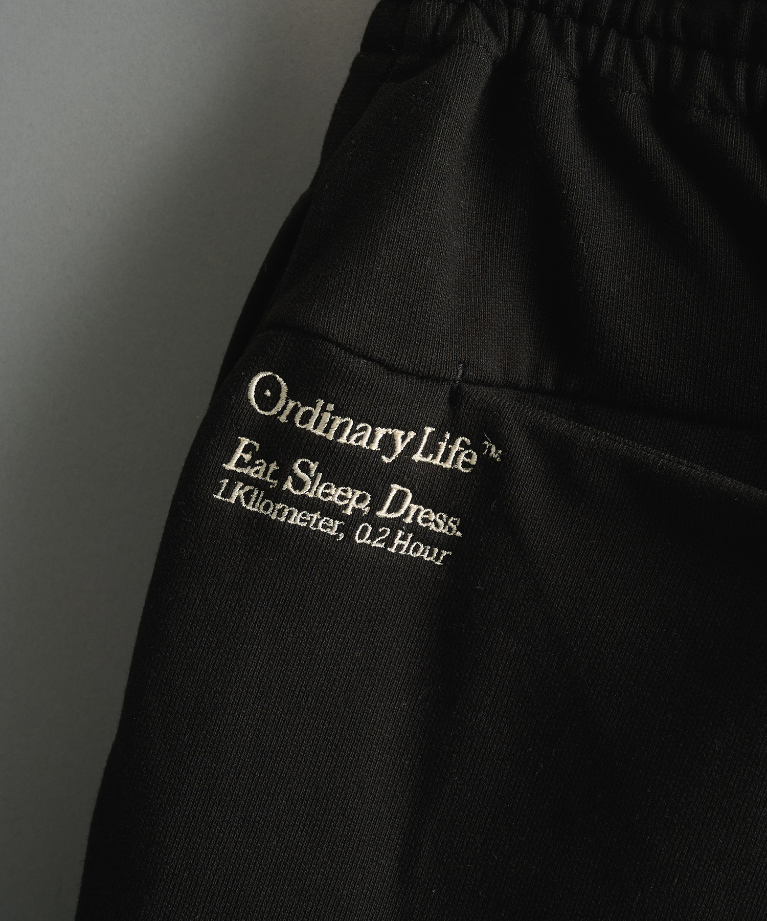別注ORDINARY HOME BAGGY SHORTS SHINYAKOZUKA