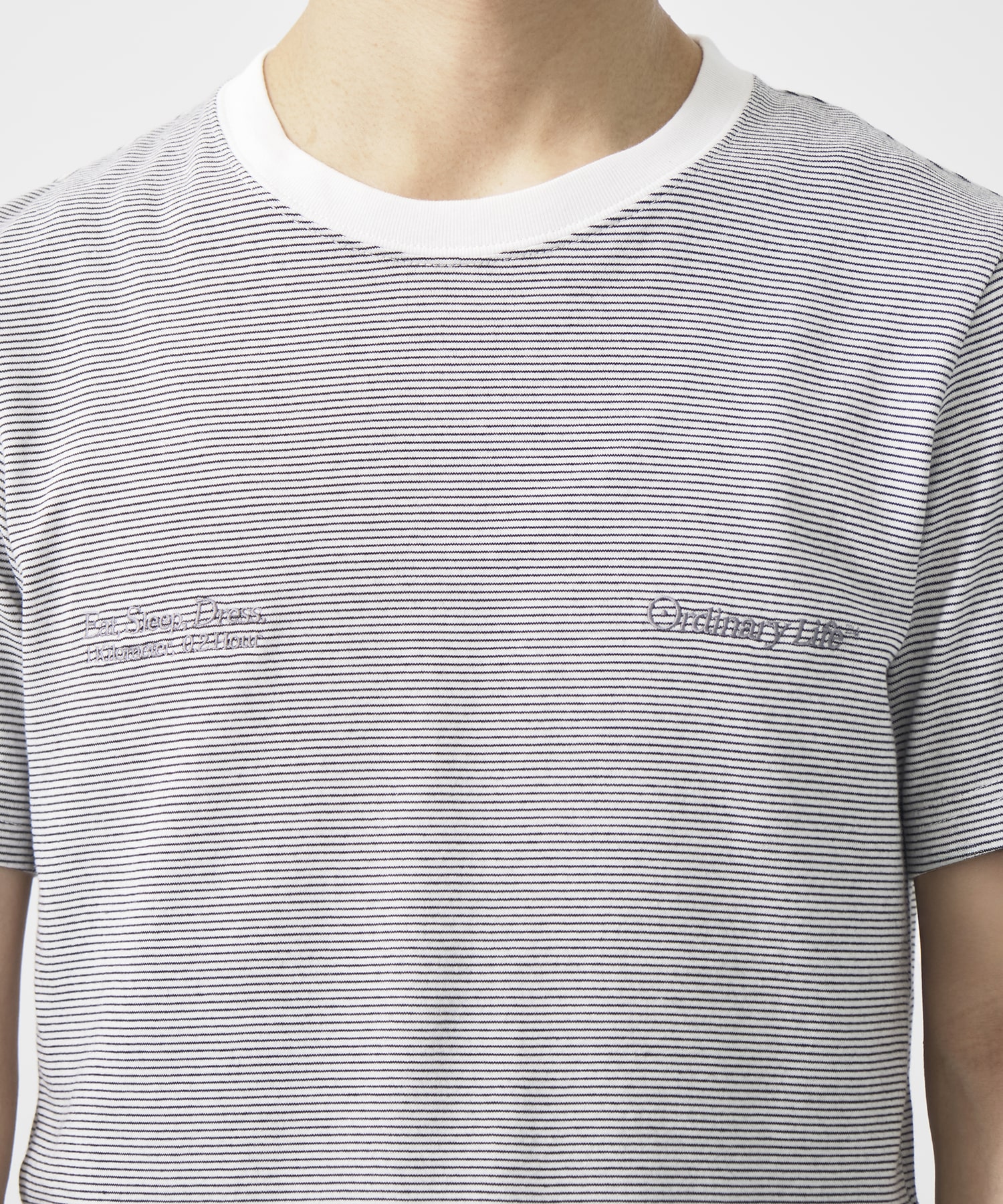 別注 ORDINARY COMPACT TEE  BORDER SHINYAKOZUKA