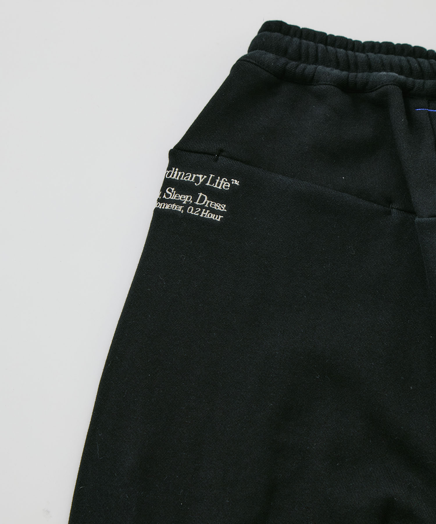 ordinary home baggy(ISSUE#9) SHINYAKOZUKA