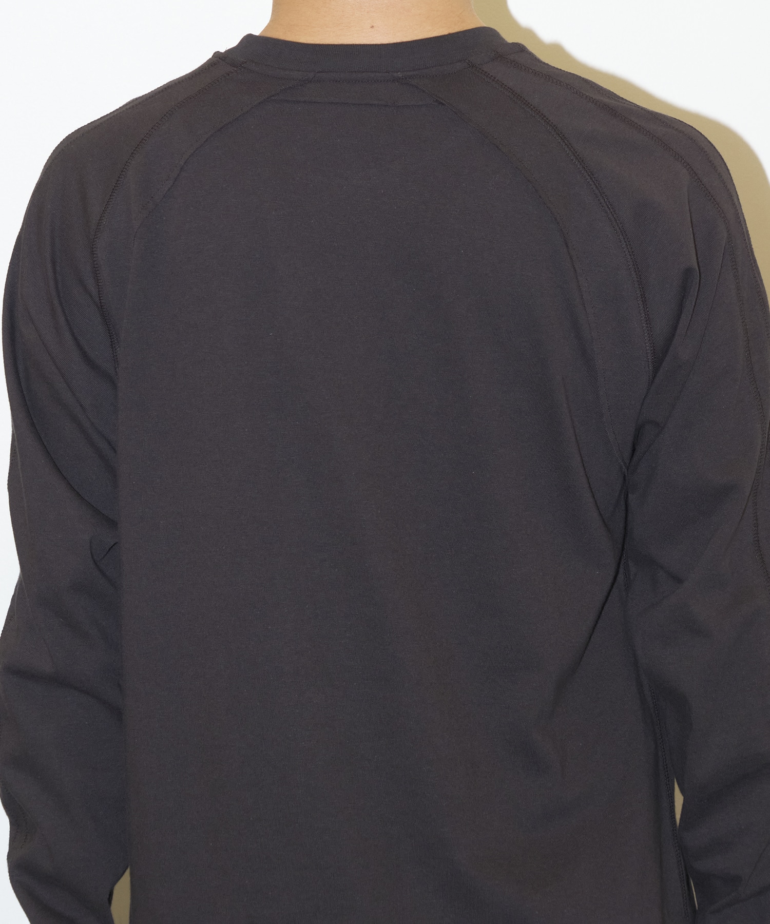 十二支 LS TEE JIAN YE