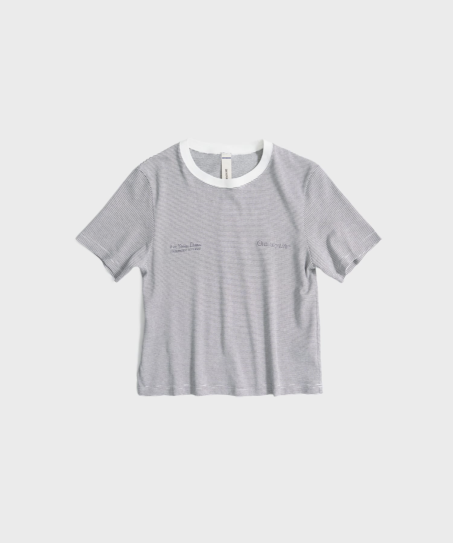 別注 ORDINARY COMPACT TEE  BORDER