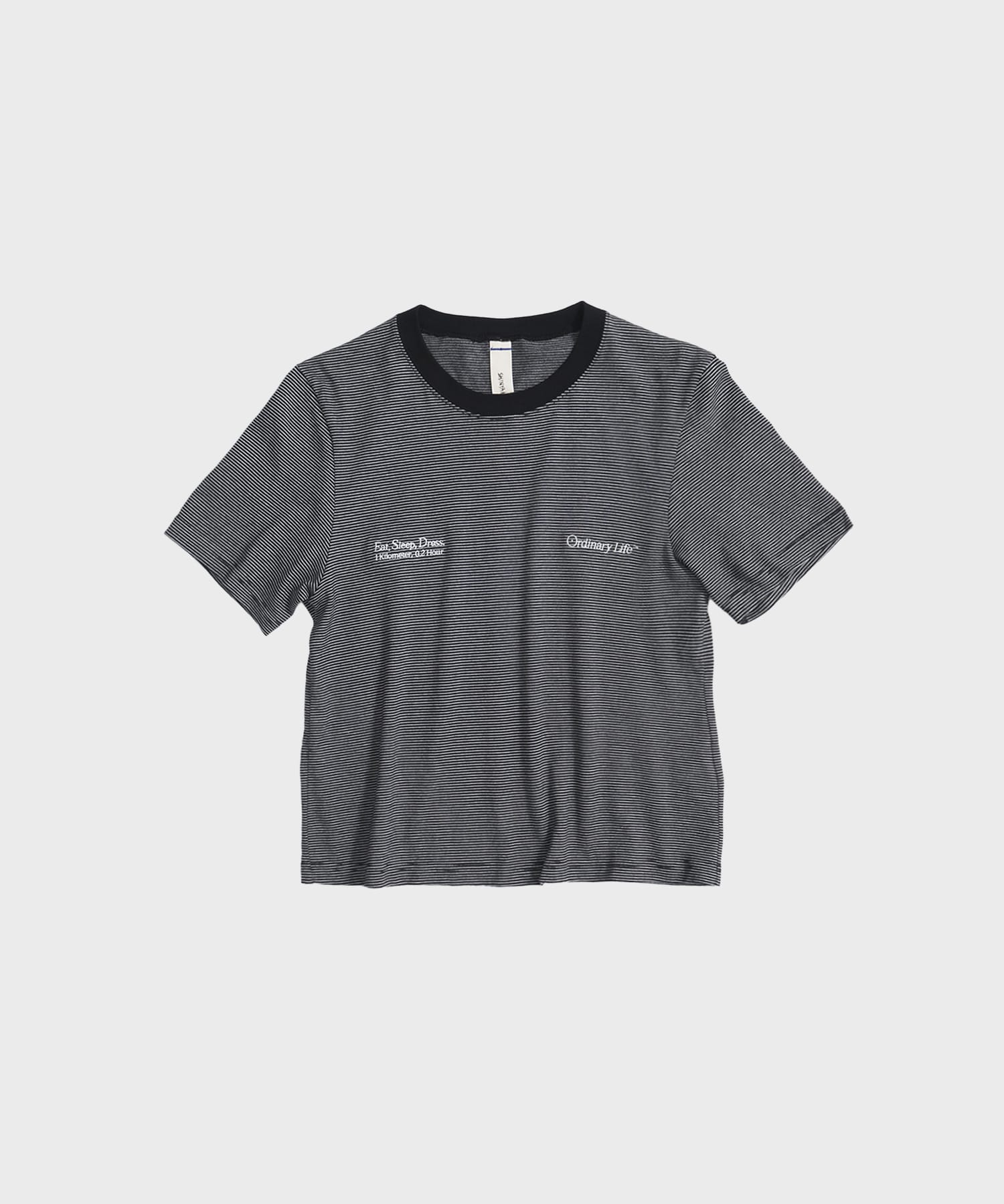 別注 ORDINARY COMPACT TEE  BORDER
