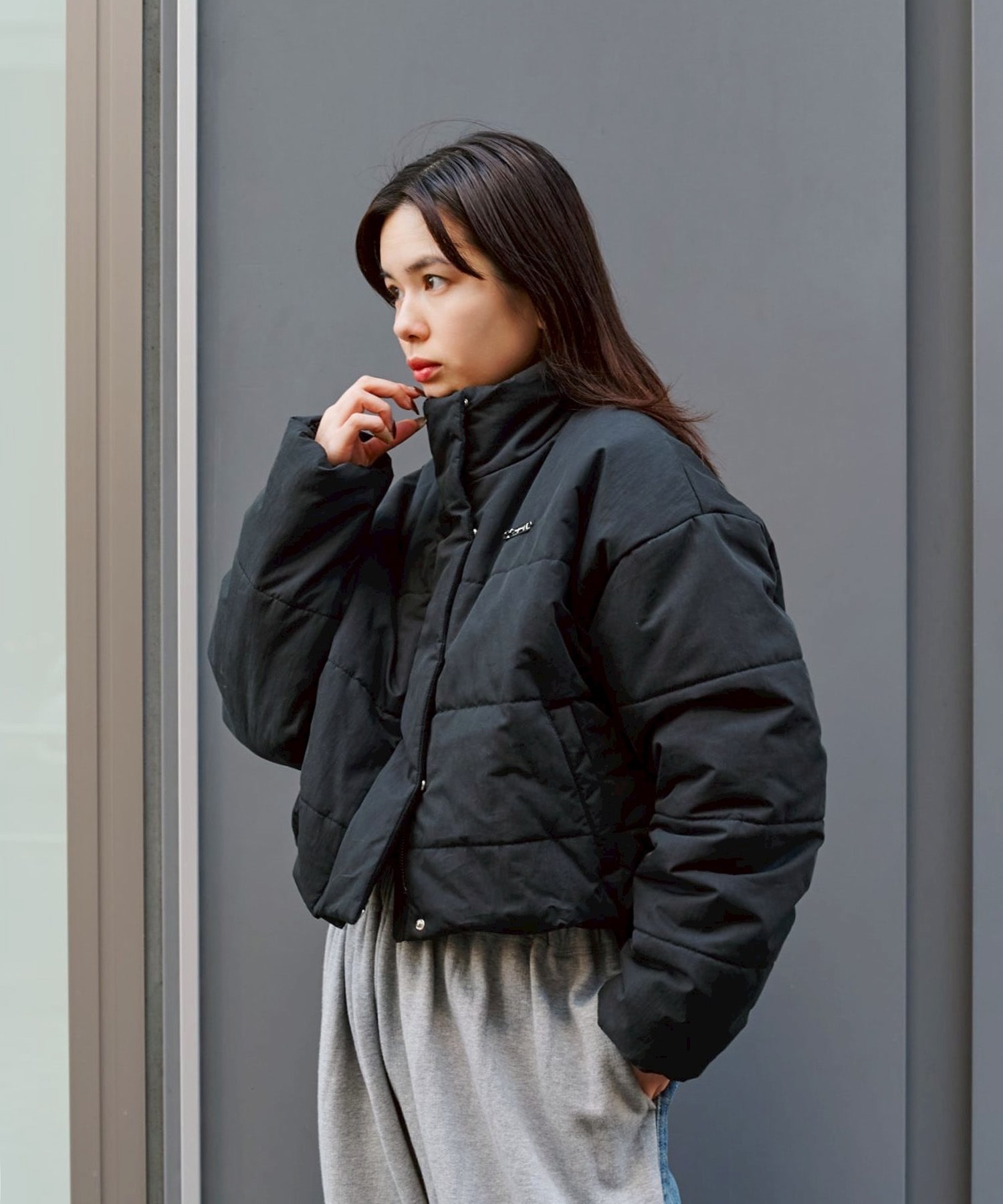 EX.short down like jacket